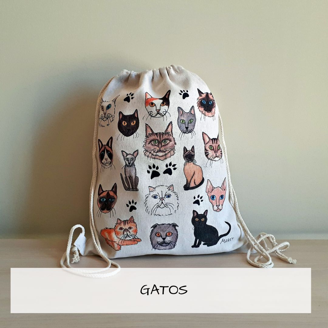 Colección animales gatos